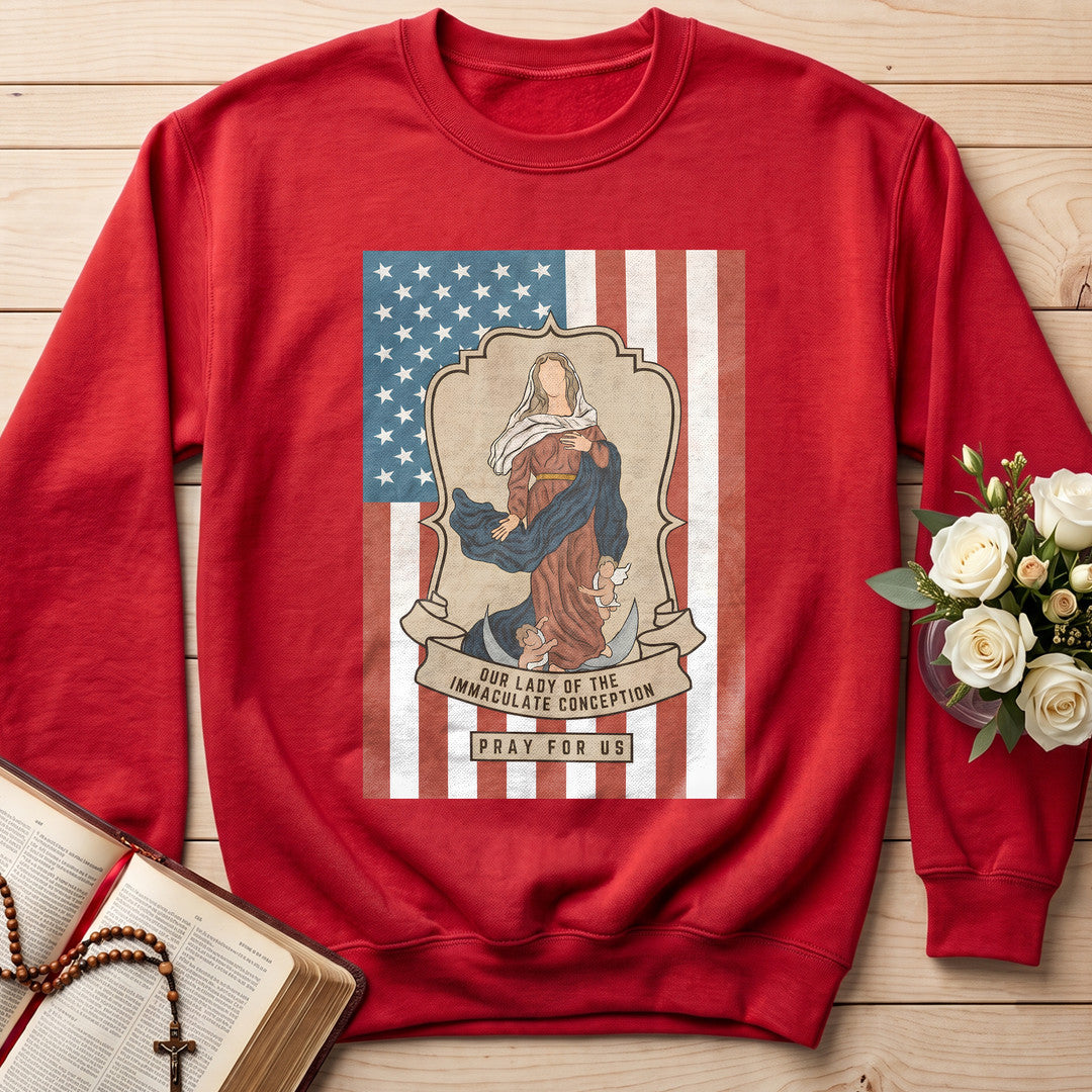 Our Lady Of The Immaculate Conception Pray For Us 01