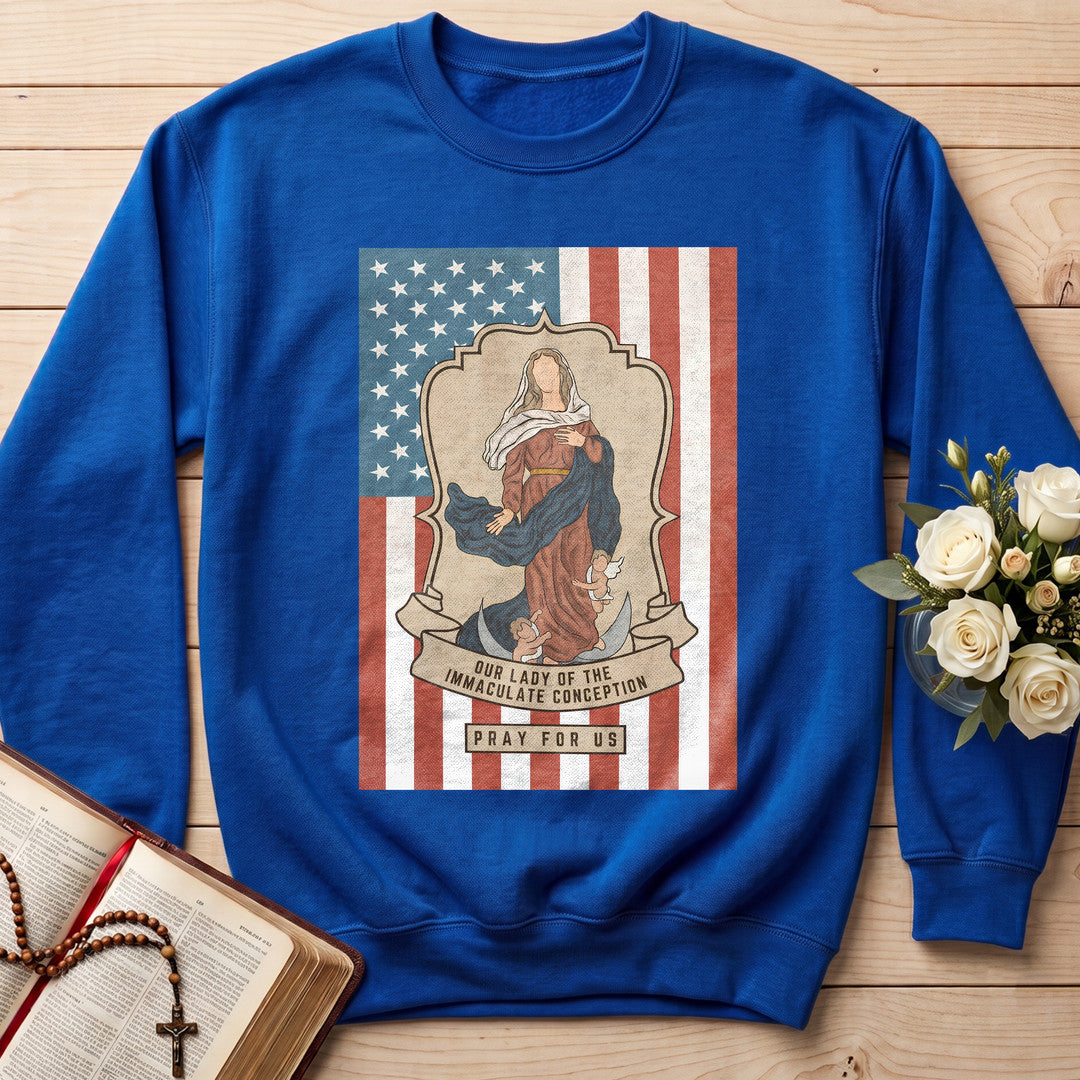 Our Lady Of The Immaculate Conception Pray For Us 01