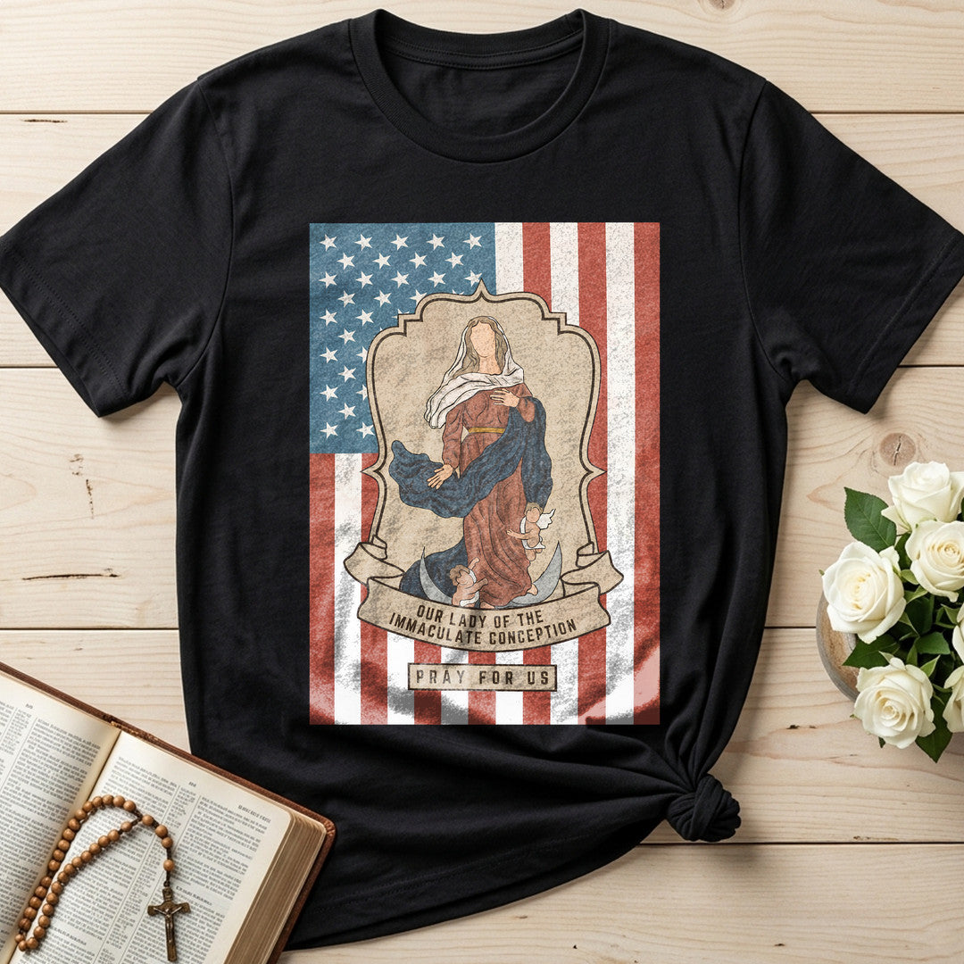 Our Lady Of The Immaculate Conception Pray For Us 01