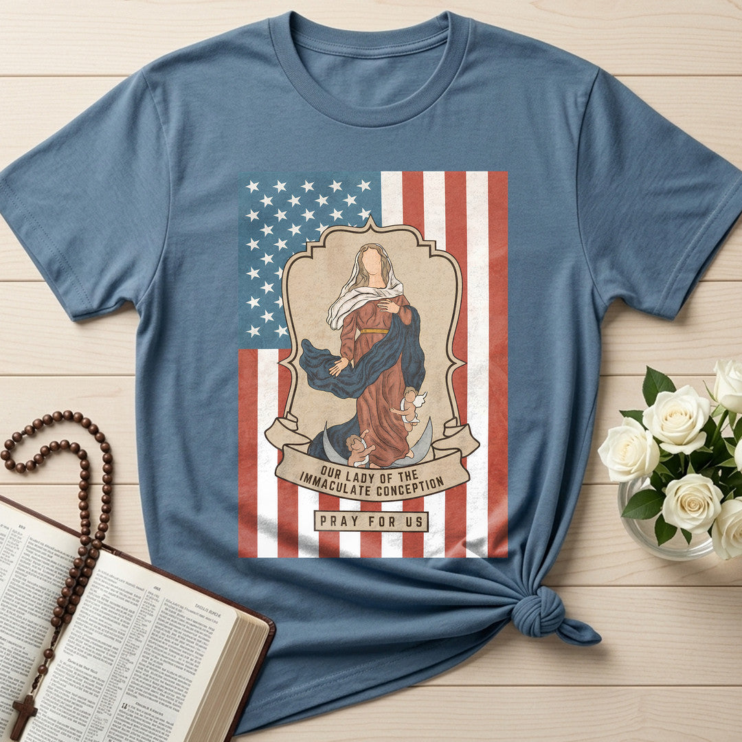 Our Lady Of The Immaculate Conception Pray For Us 01