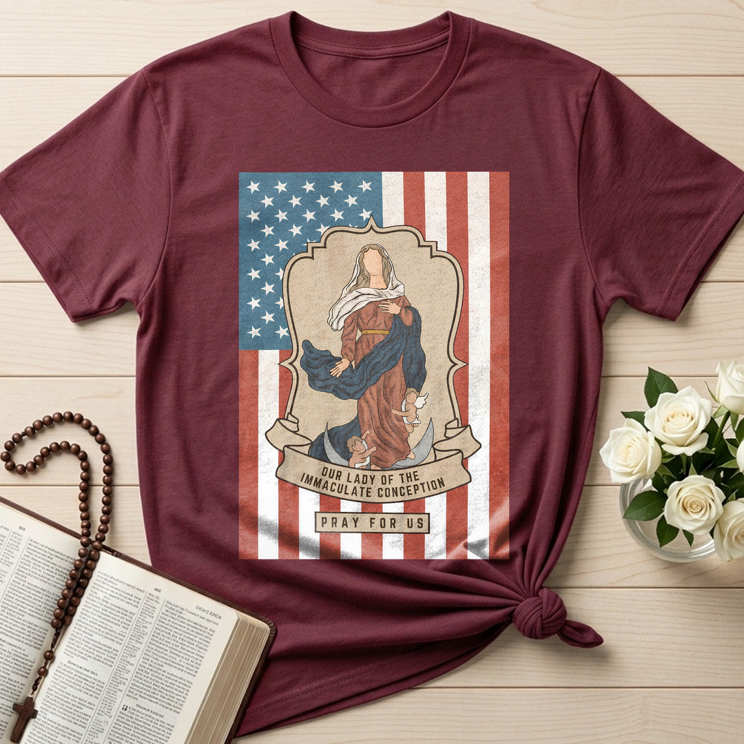 Our Lady Of The Immaculate Conception Pray For Us 01