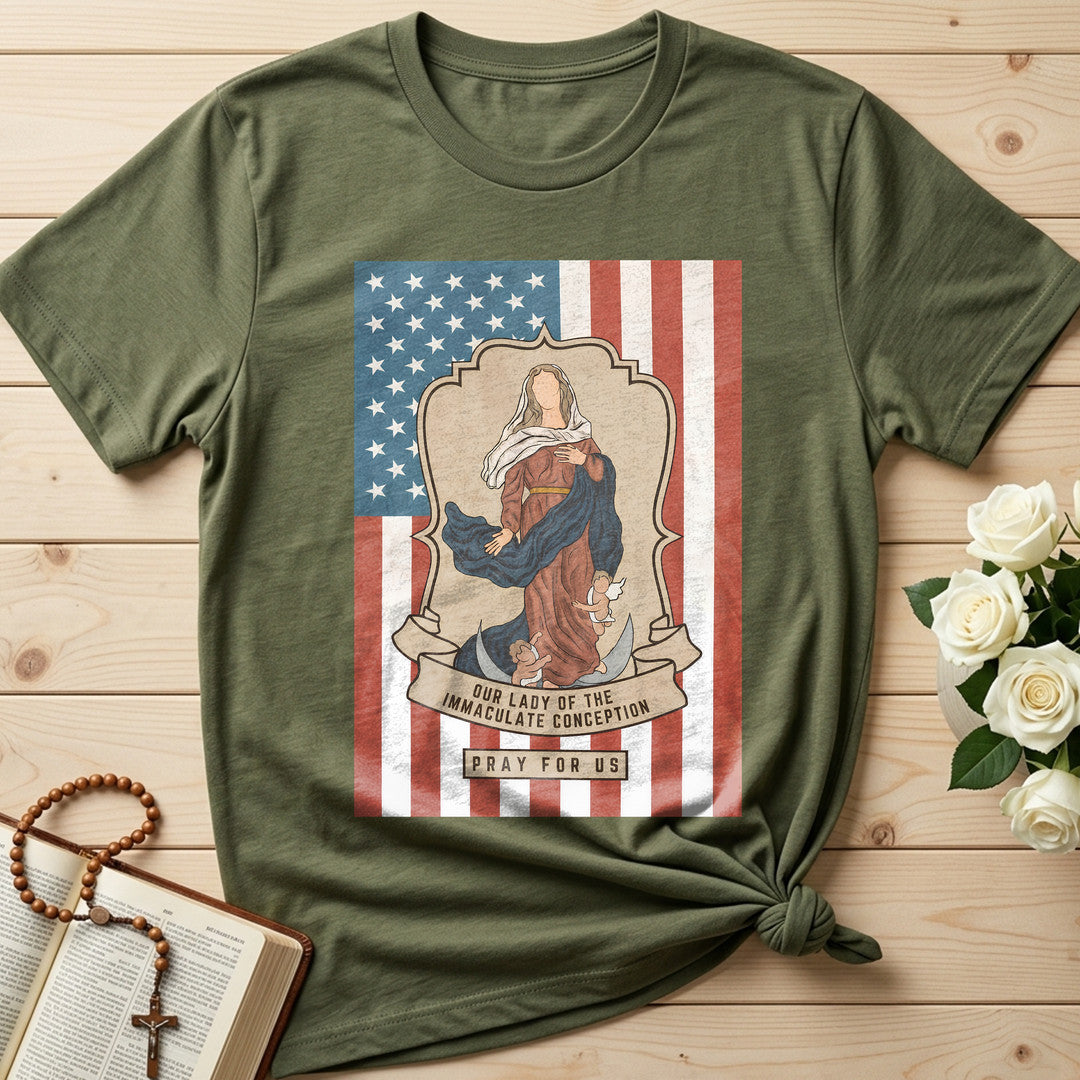 Our Lady Of The Immaculate Conception Pray For Us 01