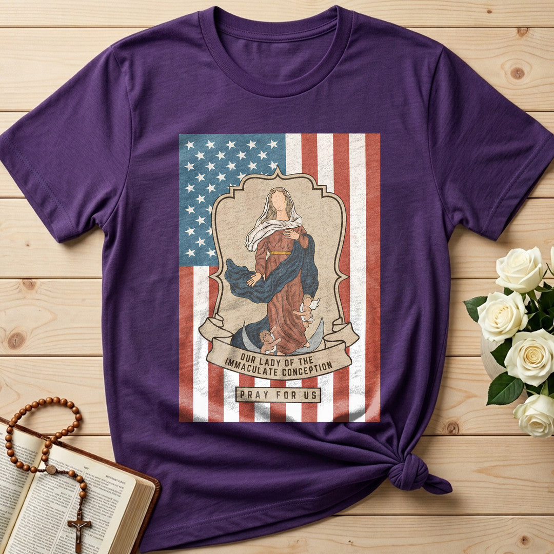 Our Lady Of The Immaculate Conception Pray For Us 01
