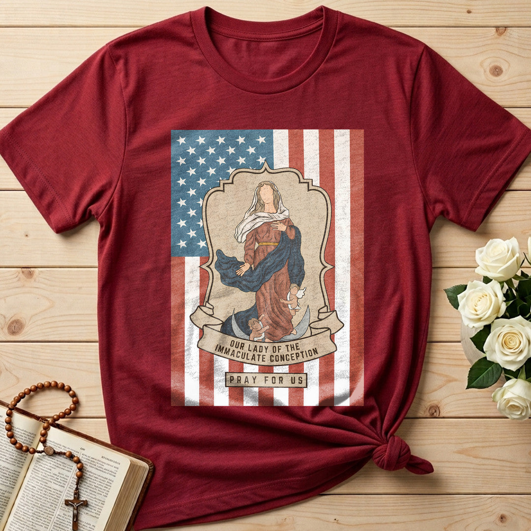 Our Lady Of The Immaculate Conception Pray For Us 01