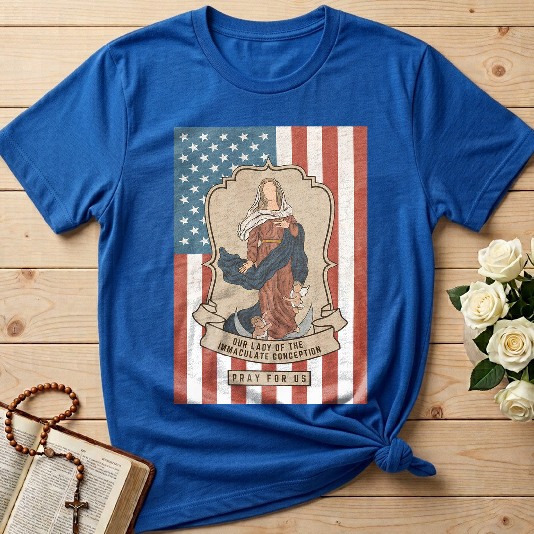 Our Lady Of The Immaculate Conception Pray For Us 01