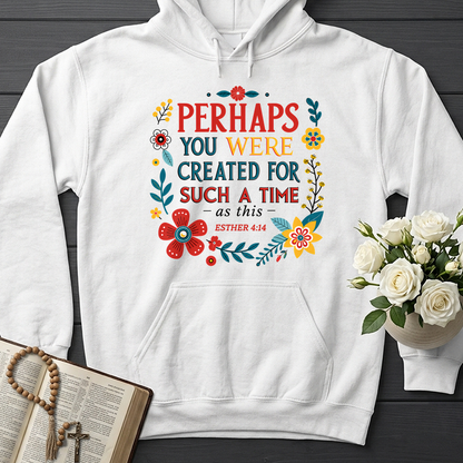 Perhaps You Were Created For Such A Time As This Esther 4.14 02
