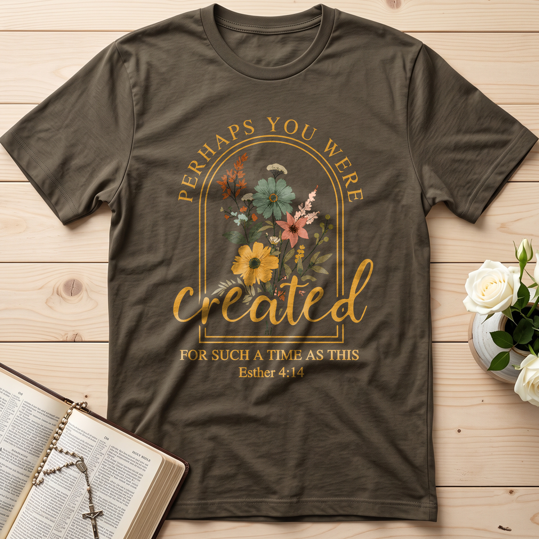 Perhaps You Were Created For Such A Time As This Esther 4.14 03