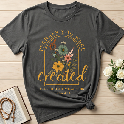 Perhaps You Were Created For Such A Time As This Esther 4.14 03