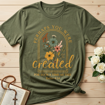 Perhaps You Were Created For Such A Time As This Esther 4.14 03