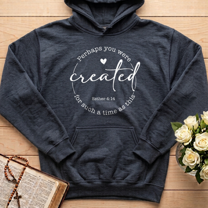 Perhaps You Were Created For Such A Time As This Esther 4.14 05