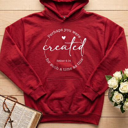 Perhaps You Were Created For Such A Time As This Esther 4.14 05
