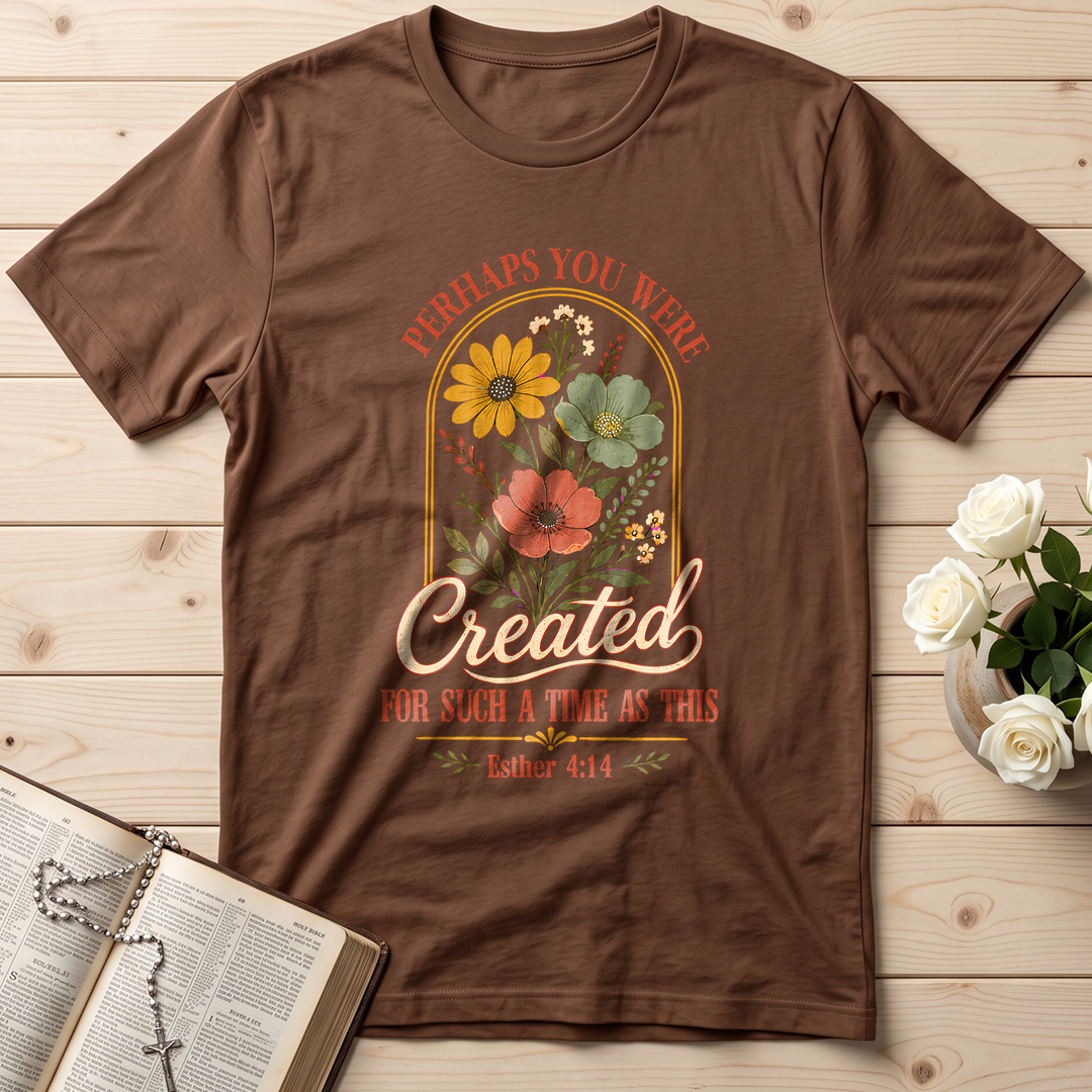 Perhaps You Were Created For Such A Time As This Esther 4.14 06