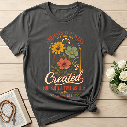 Perhaps You Were Created For Such A Time As This Esther 4.14 06