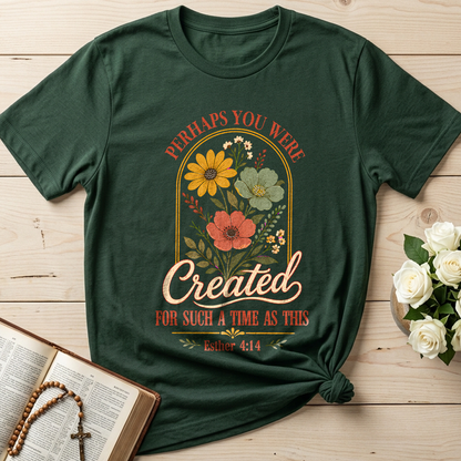 Perhaps You Were Created For Such A Time As This Esther 4.14 06