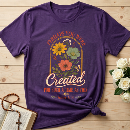 Perhaps You Were Created For Such A Time As This Esther 4.14 06