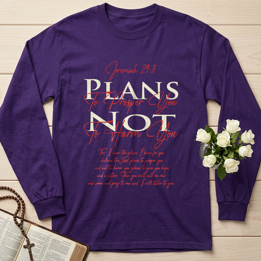 Plans To Prosper You Not To Harm You Jeremiah 29.11 01