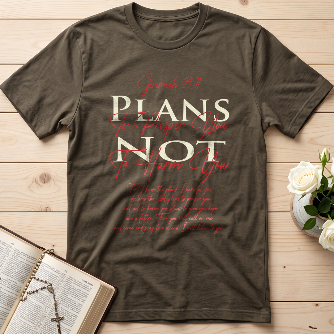 Plans To Prosper You Not To Harm You Jeremiah 29.11 01