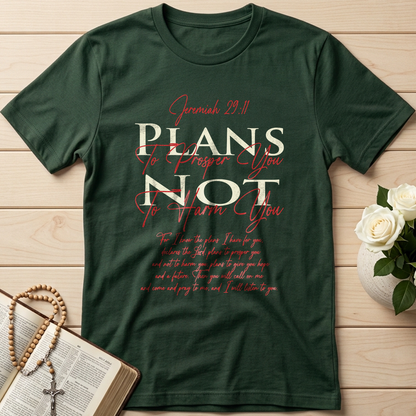 Plans To Prosper You Not To Harm You Jeremiah 29.11 01
