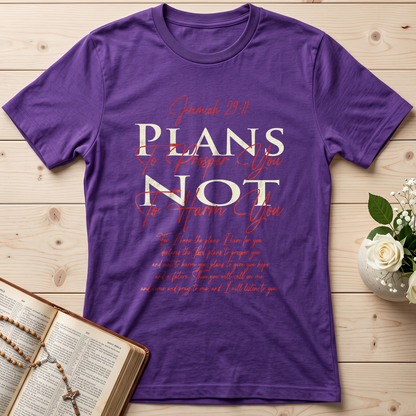Plans To Prosper You Not To Harm You Jeremiah 29.11 01