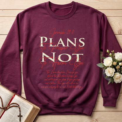 Plans To Prosper You Not To Harm You Jeremiah 29.11 01