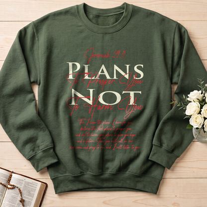 Plans To Prosper You Not To Harm You Jeremiah 29.11 01
