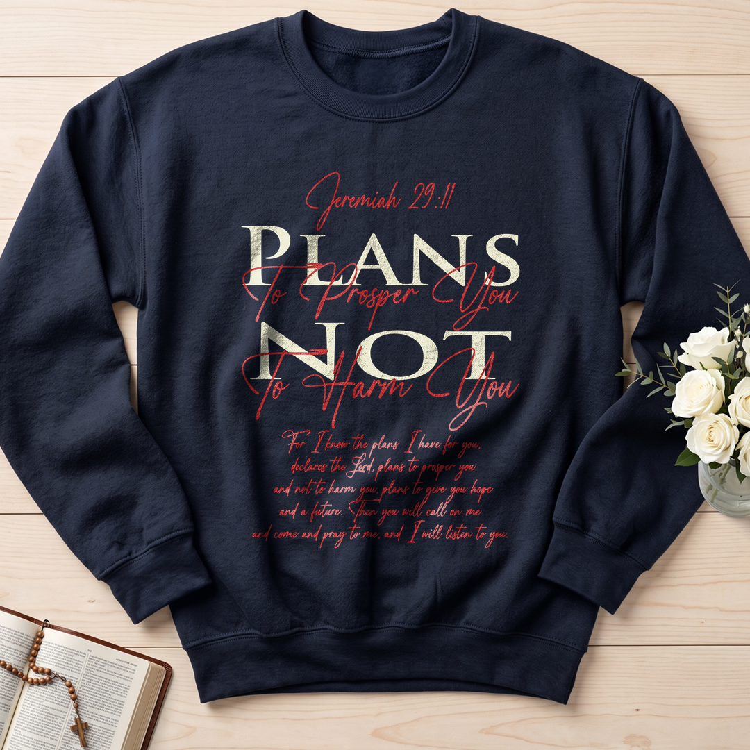 Plans To Prosper You Not To Harm You Jeremiah 29.11 01