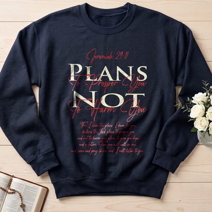 Plans To Prosper You Not To Harm You Jeremiah 29.11 01