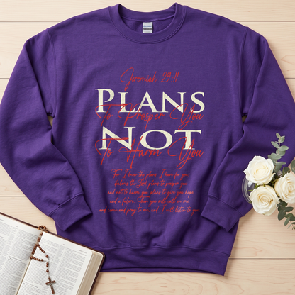 Plans To Prosper You Not To Harm You Jeremiah 29.11 01