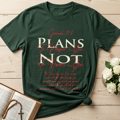 Plans To Prosper You Not To Harm You Jeremiah 29.11 01