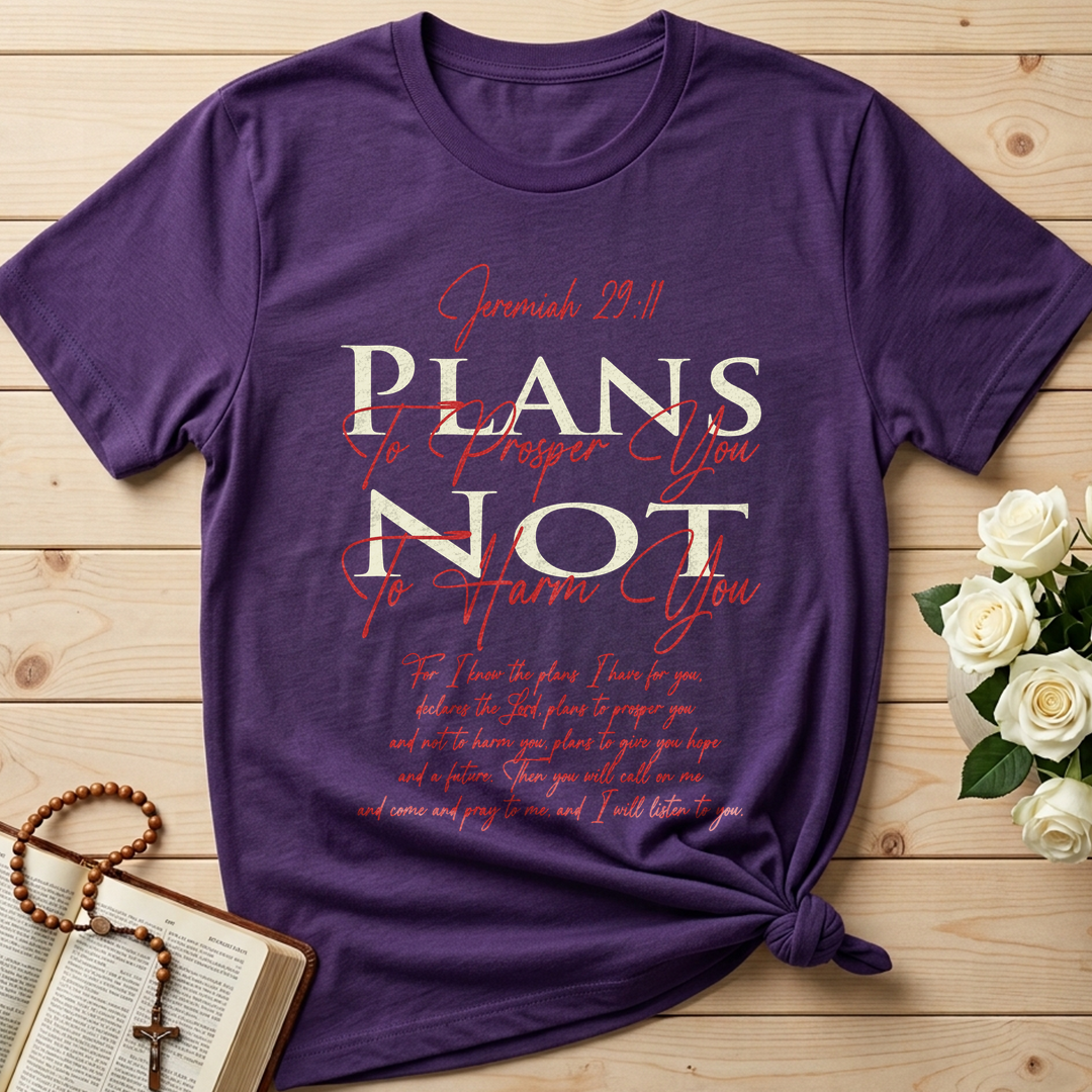 Plans To Prosper You Not To Harm You Jeremiah 29.11 01