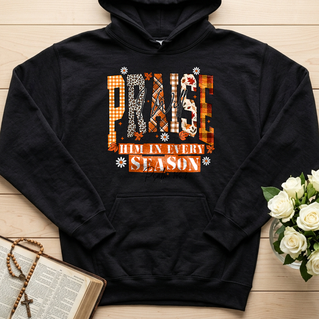 Praise I Will Him In Every Season Psalm 146.2 04