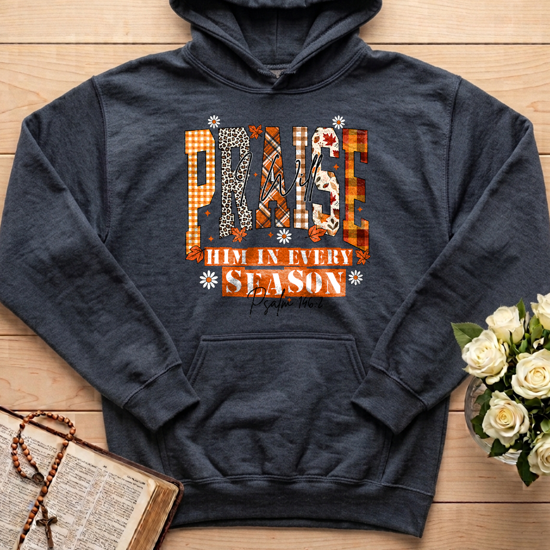 Praise I Will Him In Every Season Psalm 146.2 04