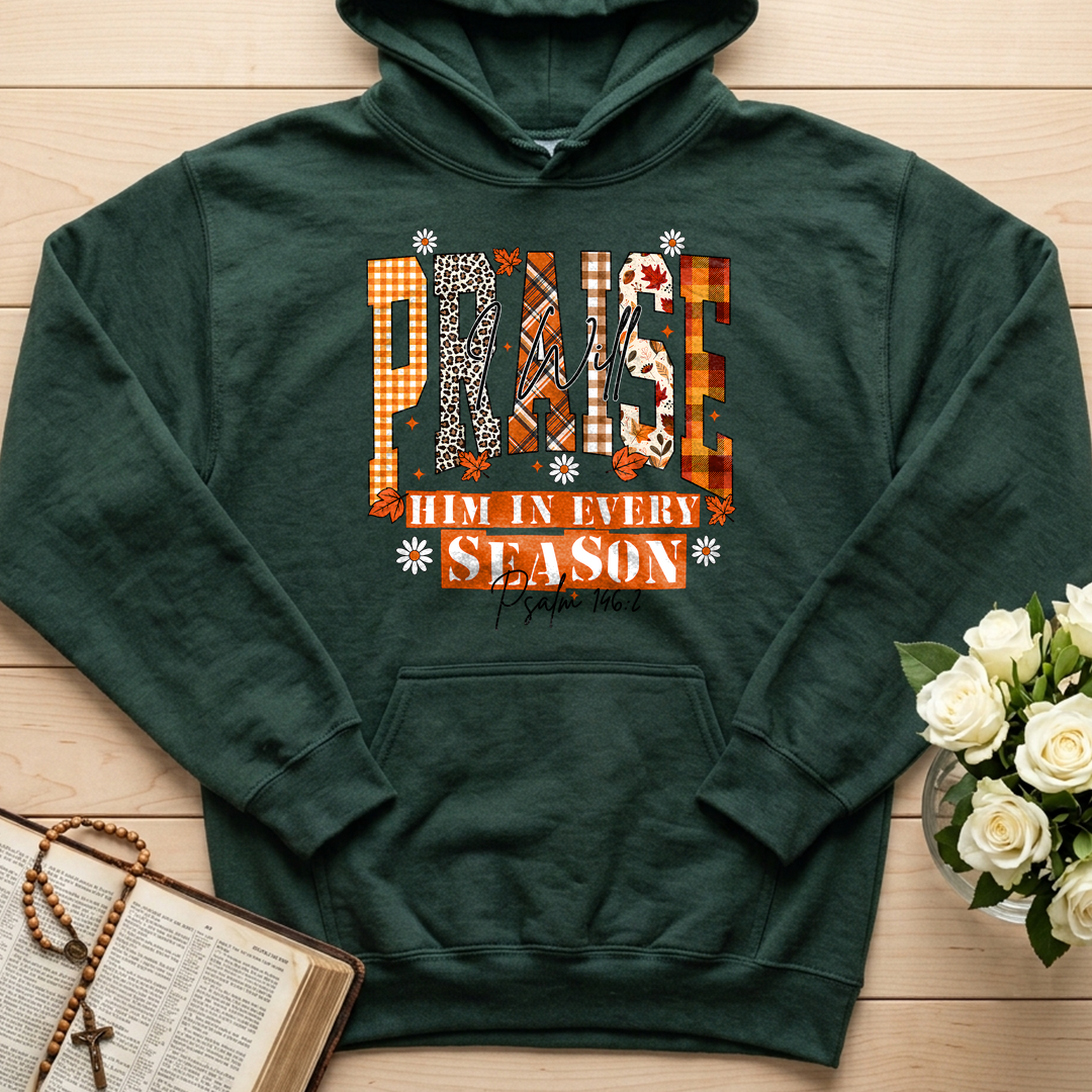 Praise I Will Him In Every Season Psalm 146.2 04