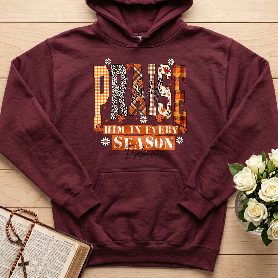 Praise I Will Him In Every Season Psalm 146.2 04