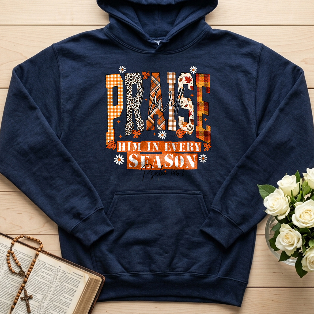 Praise I Will Him In Every Season Psalm 146.2 04
