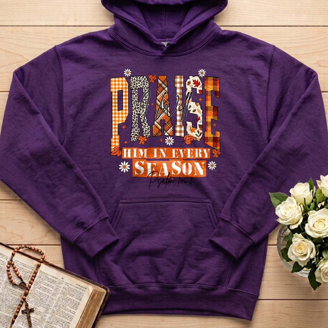 Praise I Will Him In Every Season Psalm 146.2 04