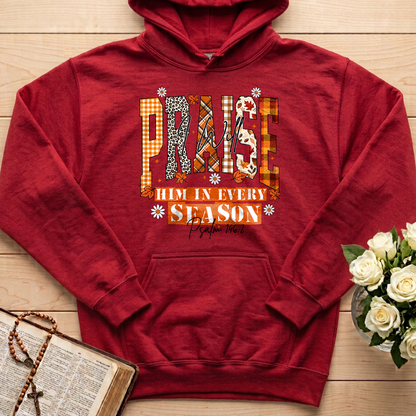 Praise I Will Him In Every Season Psalm 146.2 04
