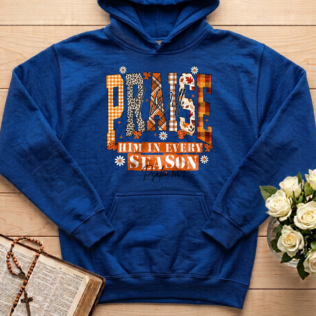 Praise I Will Him In Every Season Psalm 146.2 04