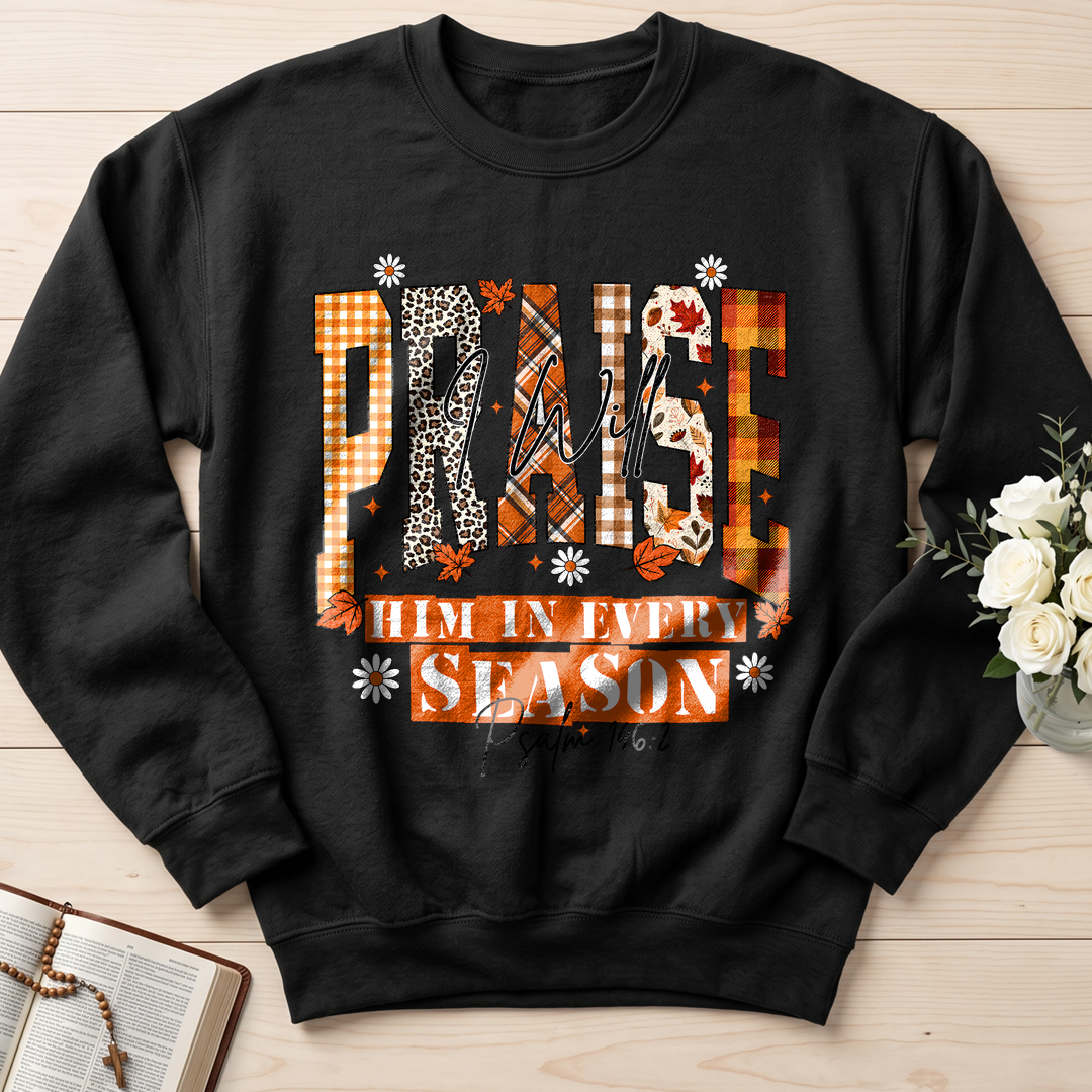 Praise I Will Him In Every Season Psalm 146.2 04
