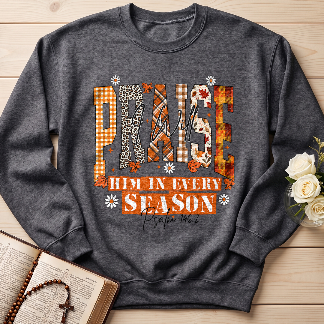 Praise I Will Him In Every Season Psalm 146.2 04
