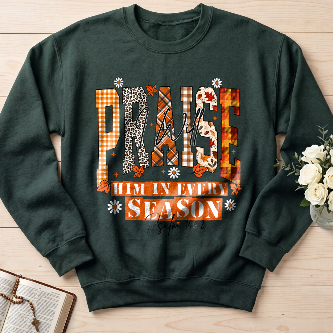 Praise I Will Him In Every Season Psalm 146.2 04