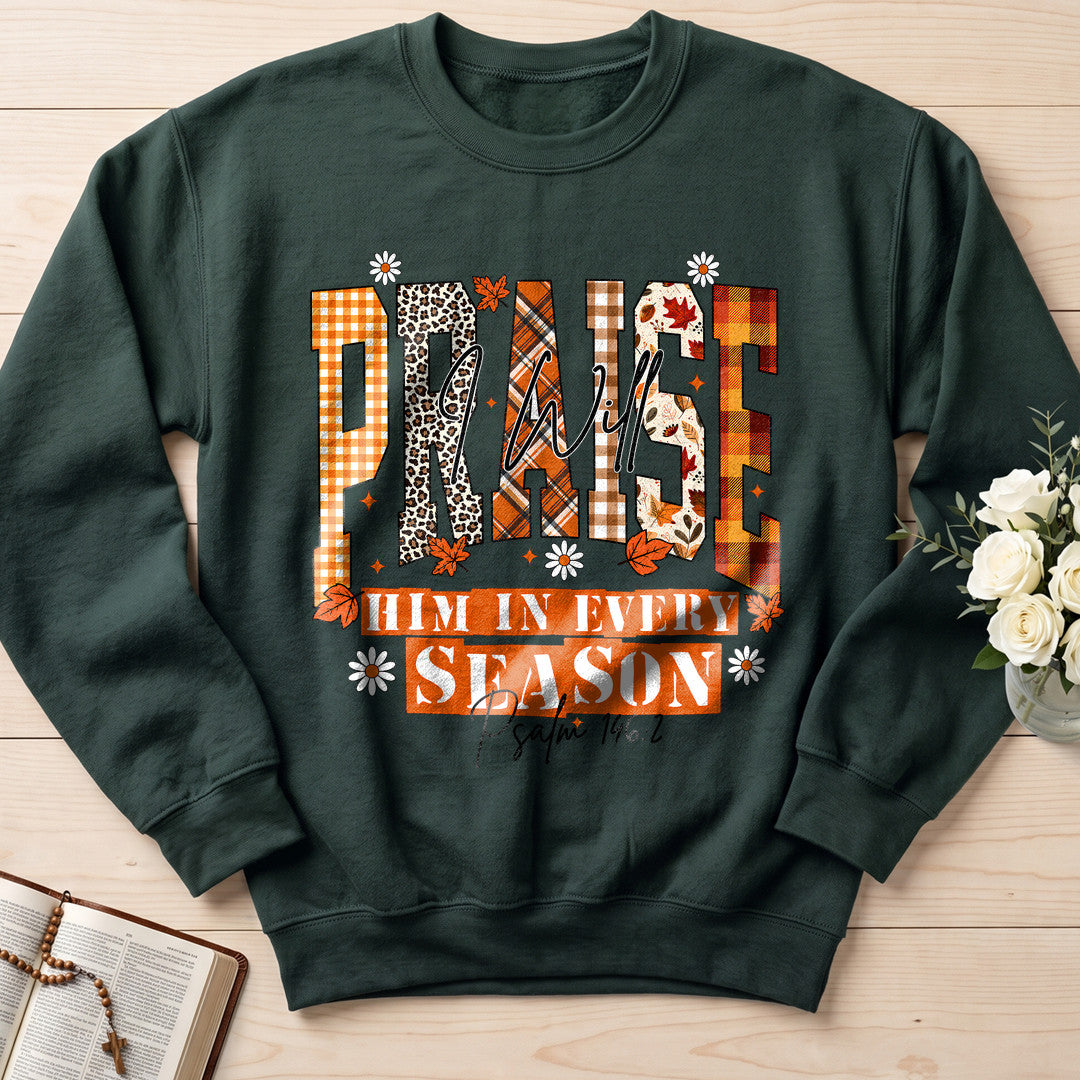 Praise I Will Him In Every Season Psalm 146.2 04