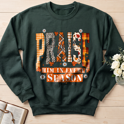 Praise I Will Him In Every Season Psalm 146.2 04