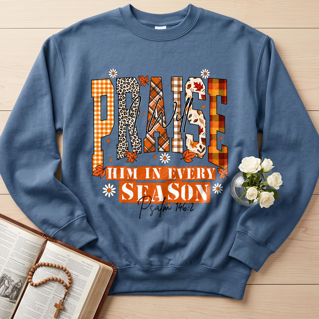 Praise I Will Him In Every Season Psalm 146.2 04