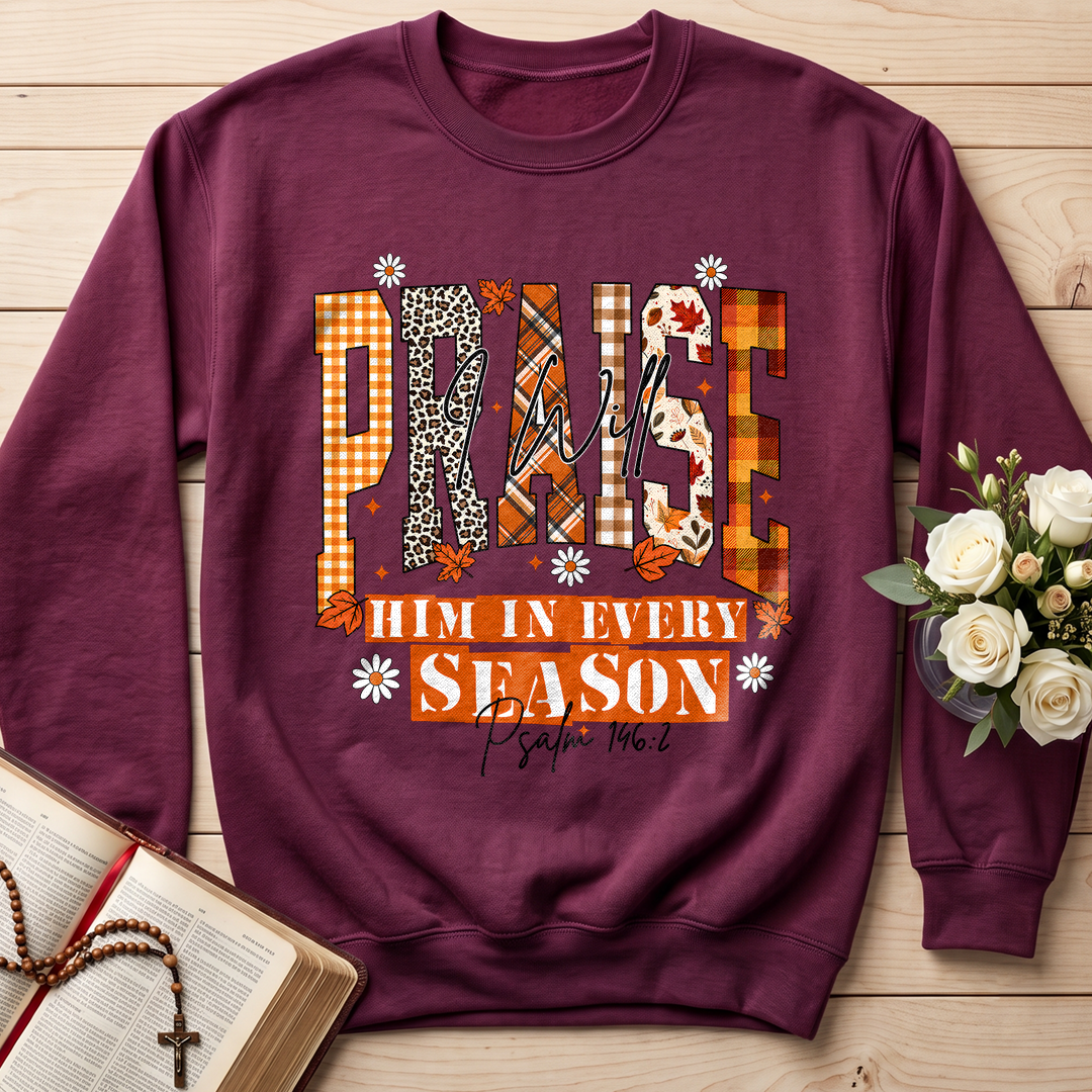 Praise I Will Him In Every Season Psalm 146.2 04