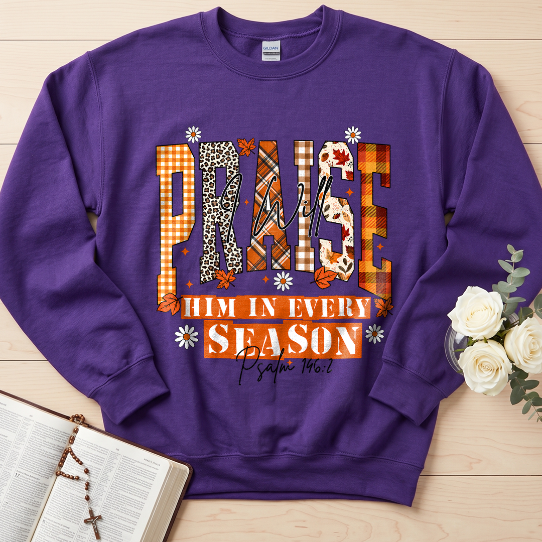 Praise I Will Him In Every Season Psalm 146.2 04