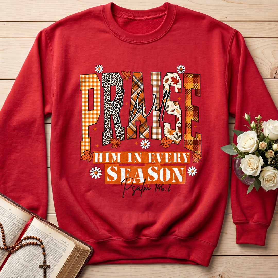 Praise I Will Him In Every Season Psalm 146.2 04