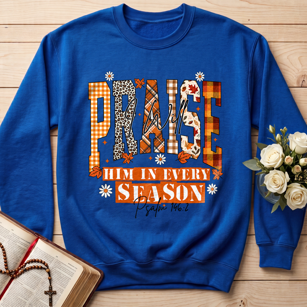 Praise I Will Him In Every Season Psalm 146.2 04
