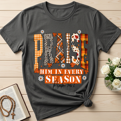 Praise I Will Him In Every Season Psalm 146.2 04