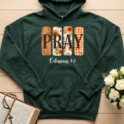 Pray Colossians 4.2 01
